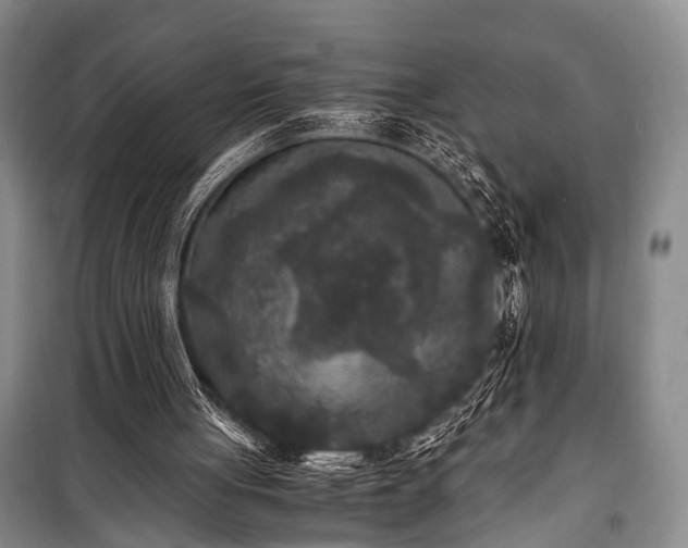 X0000100940051200807011255