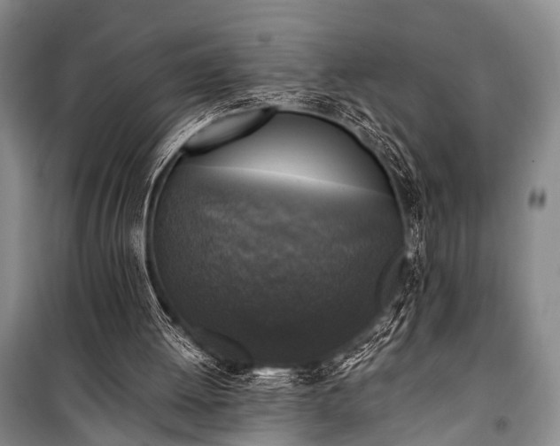 X0000100940052200807011255