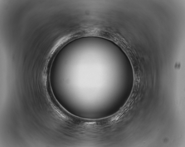 X0000100940054200807011255