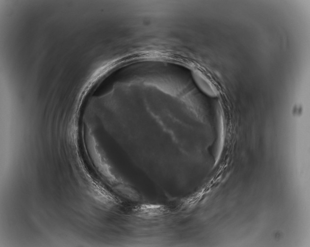 X0000100940055200807011255