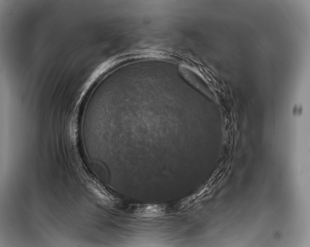 X0000100940056200807011255