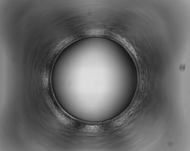 X0000100940057200807011255