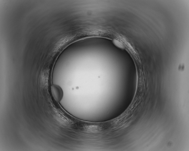 X0000100940058200807011255