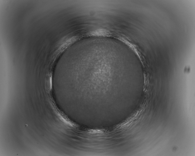 X0000100940061200807011255