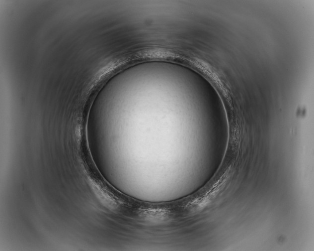 X0000100940063200807011255