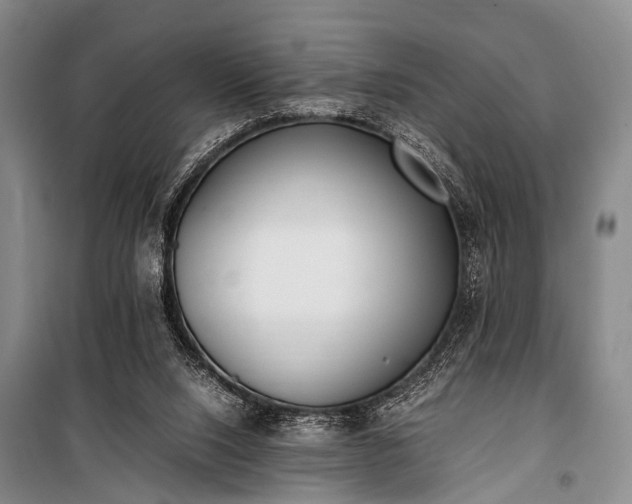 X0000100940064200807011255