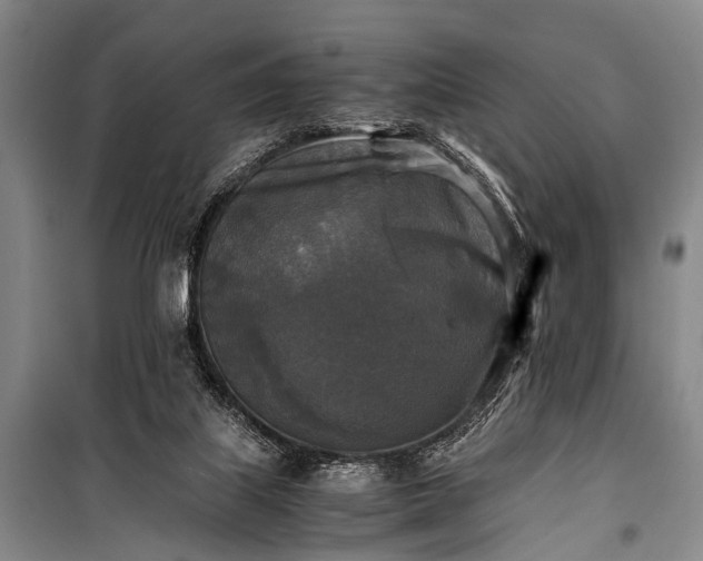 X0000100940067200807011255