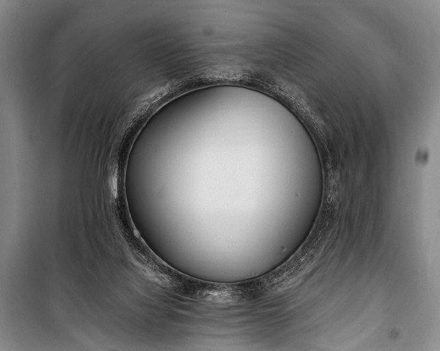 X0000100940068200807011255