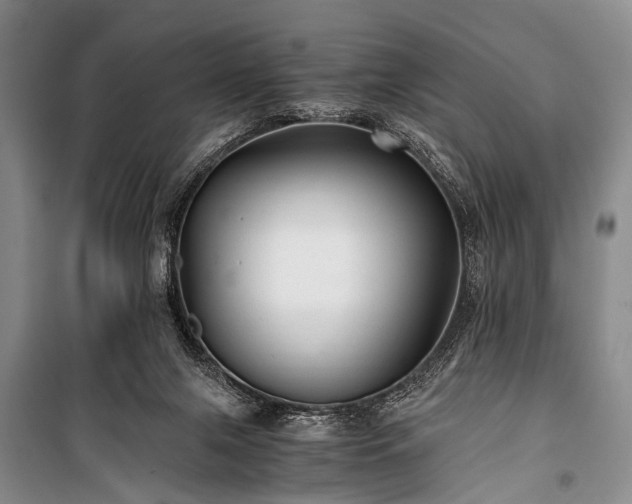 X0000100940071200807011255