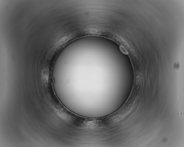 X0000100940072200807011255