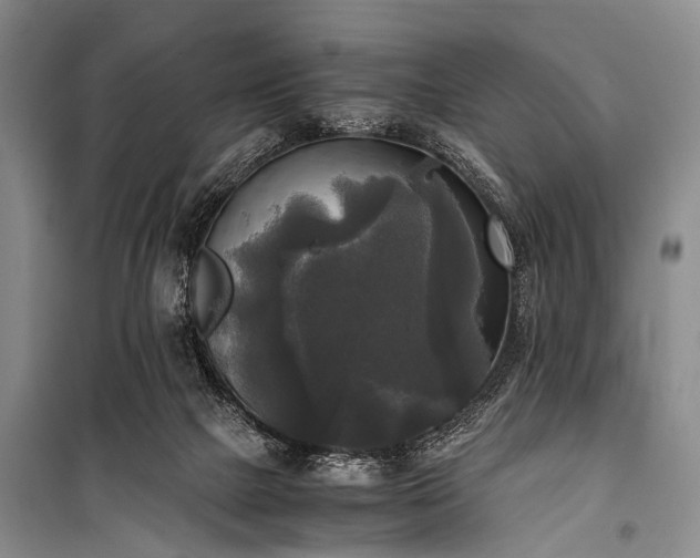 X0000100940073200807011255