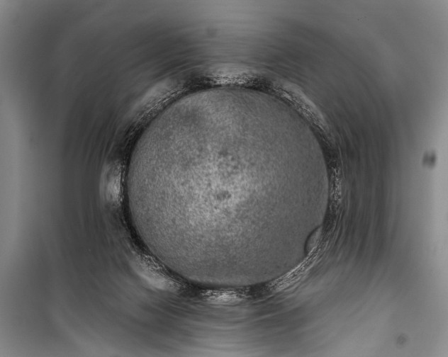 X0000100940074200807011255