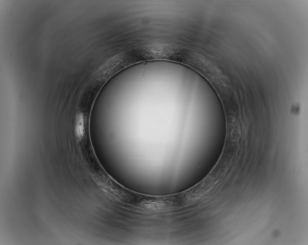 X0000100940075200807011255