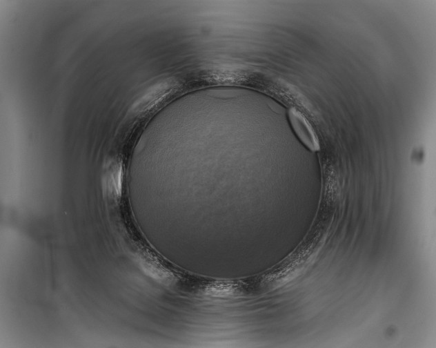 X0000100940076200807011255