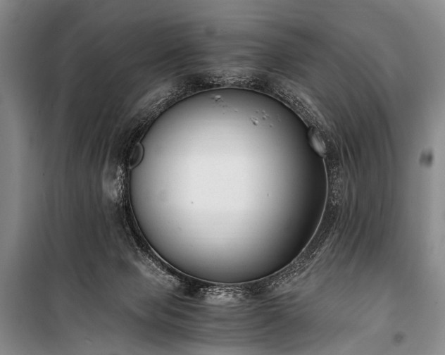 X0000100940077200807011255