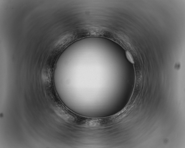 X0000100940078200807011255