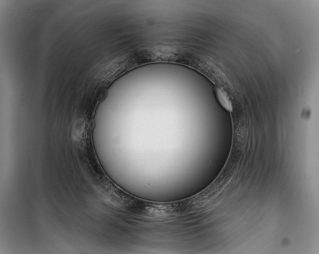 X0000100940079200807011255