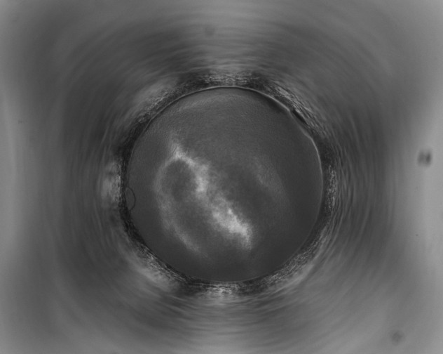 X0000100940080200807011255