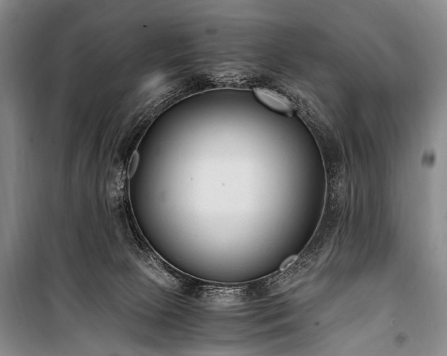 X0000100940081200807011255