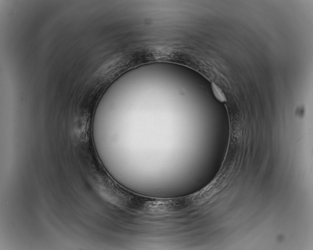 X0000100940082200807011255