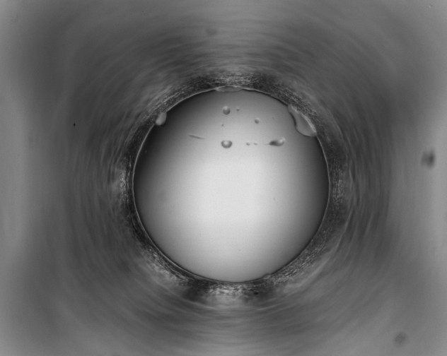 X0000100940084200807011255