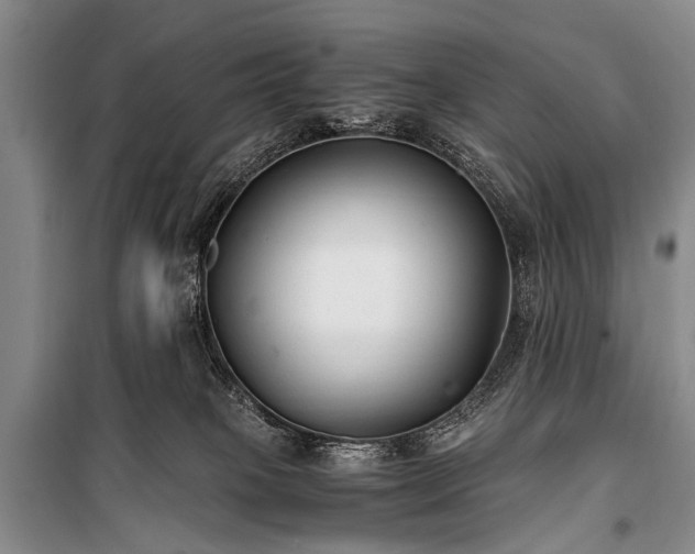 X0000100940085200807011255