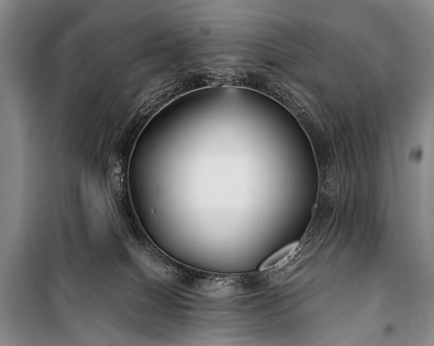 X0000100940086200807011255