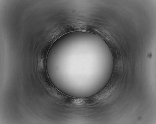 X0000100940088200807011255