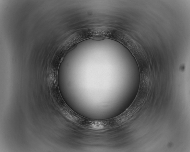 X0000100940091200807011255