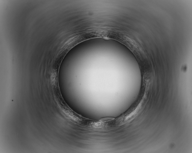 X0000100940092200807011255