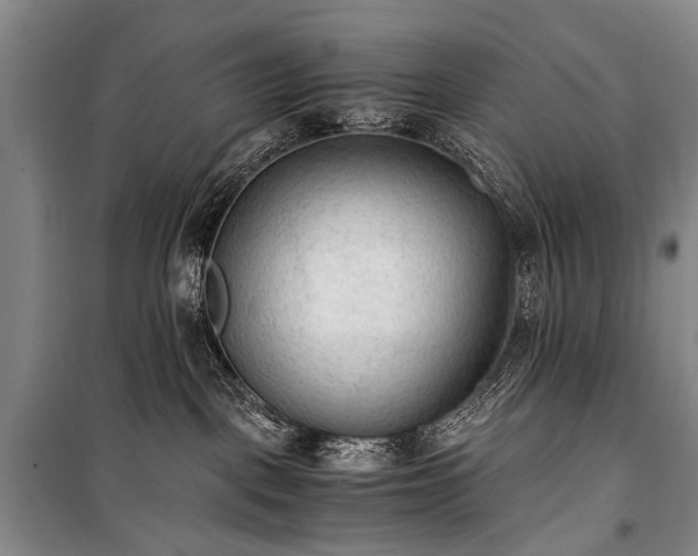 X0000100940093200807011255