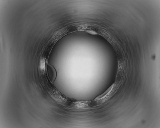 X0000100940094200807011255