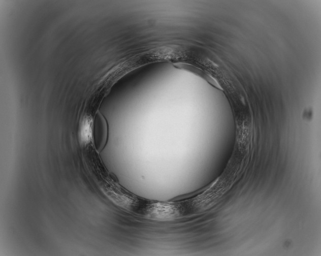 X0000100940095200807011255