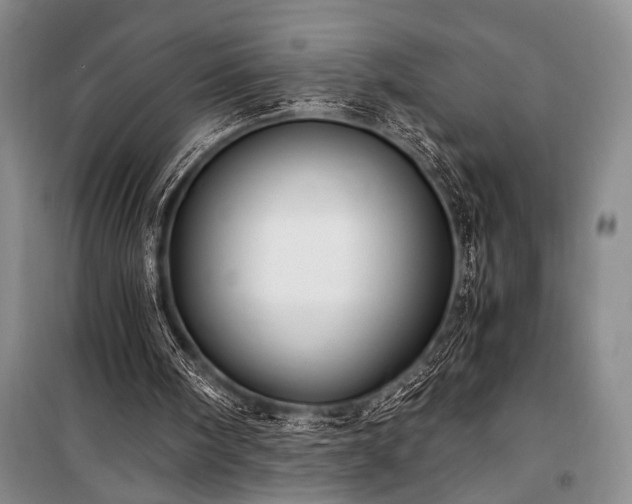 X0000100940098200807011254