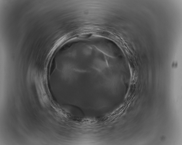 X0000100940099200807011254