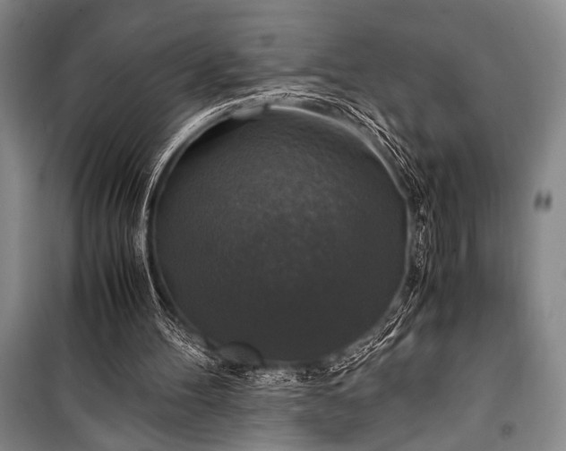 X0000100940100200807011254