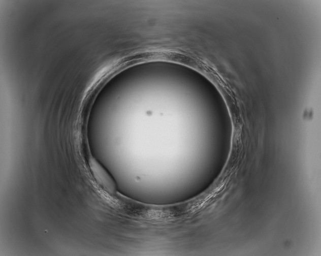 X0000100940101200807011254