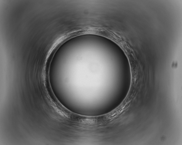 X0000100940102200807011254