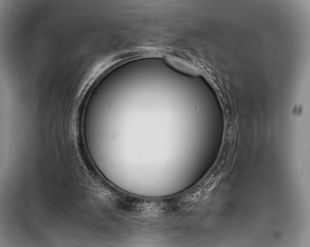 X0000100940103200807011254