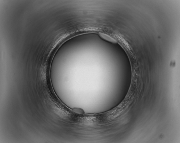 X0000100940108200807011254