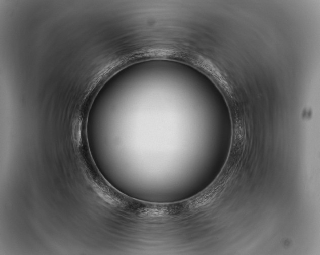 X0000100940110200807011254