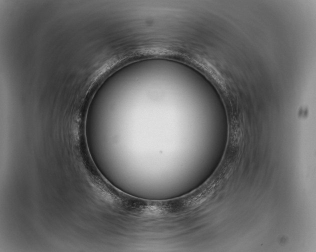 X0000100940111200807011254