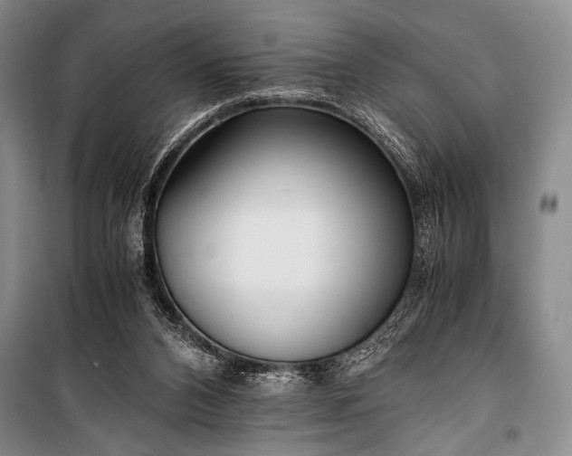 X0000100940112200807011254