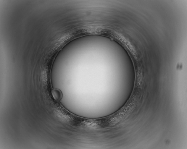 X0000100940113200807011254