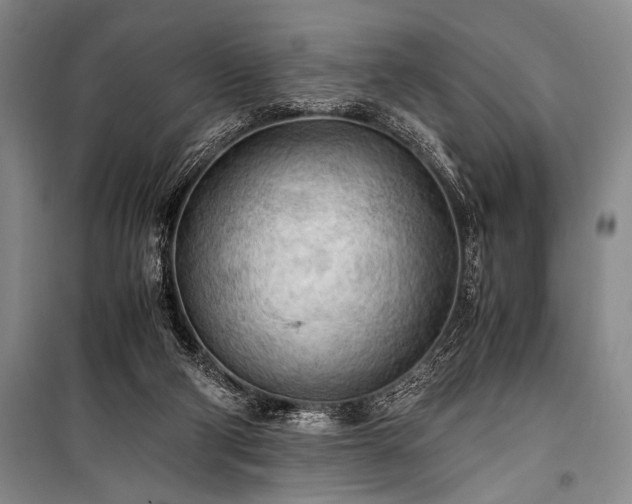 X0000100940114200807011254