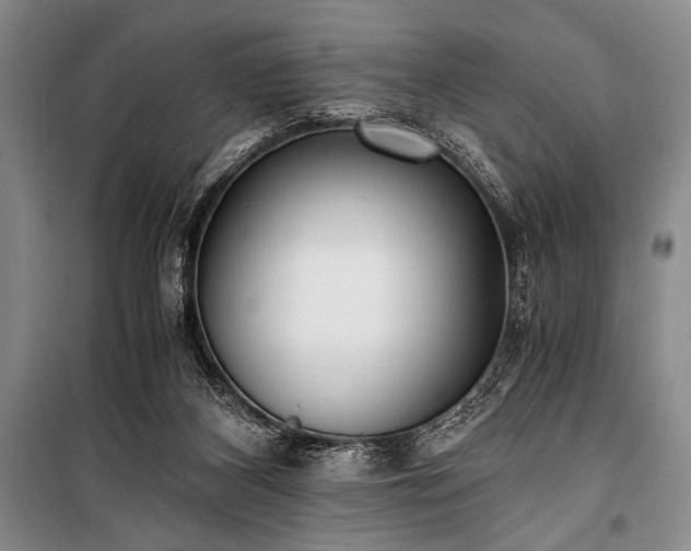 X0000100940116200807011254