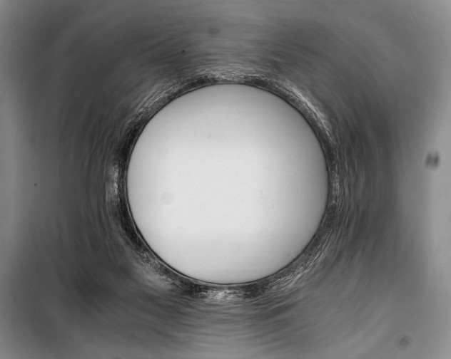 X0000100940117200807011254