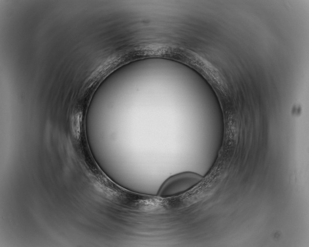 X0000100940118200807011254