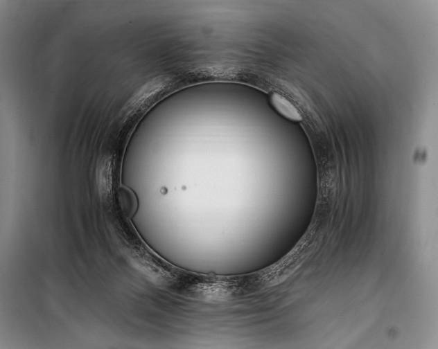 X0000100940120200807011254