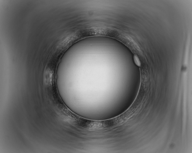 X0000100940123200807011254